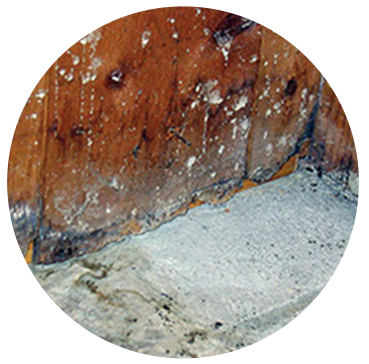 Faragon Qualifications Mold